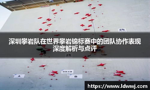 深圳攀岩队在世界攀岩锦标赛中的团队协作表现深度解析与点评
