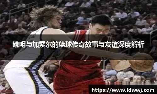 姚明与加索尔的篮球传奇故事与友谊深度解析