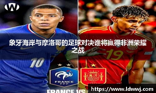 xk体育官网