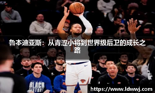 xk体育官网