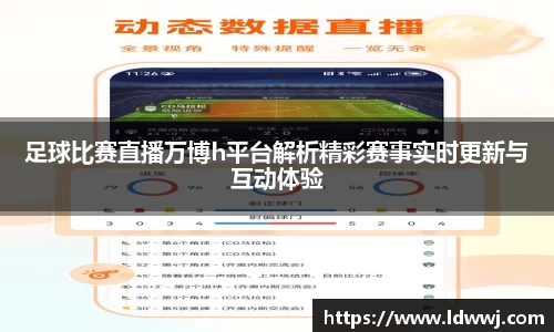 xk体育官网