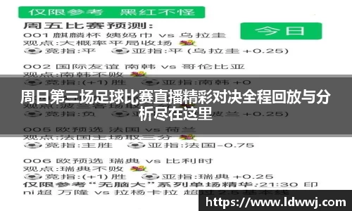 xk体育官网